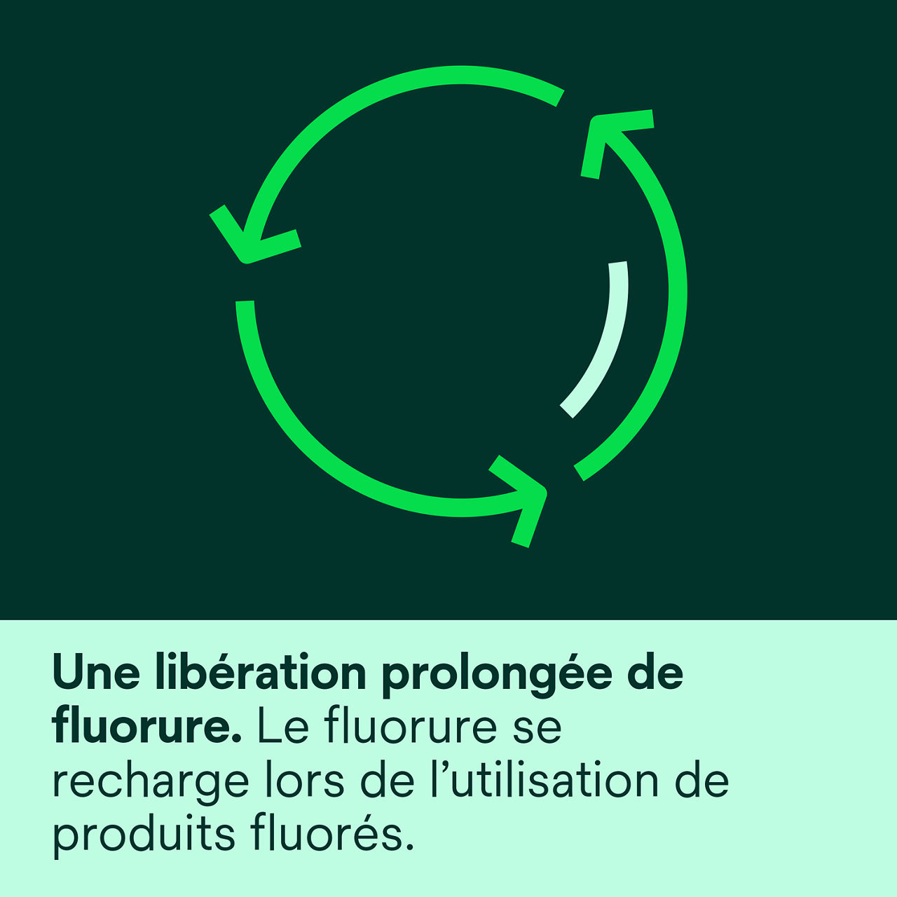 (3) Vanish™ XT: offre une distribution prolongée de fluorure recharges de fluorure avec des produits fluorés