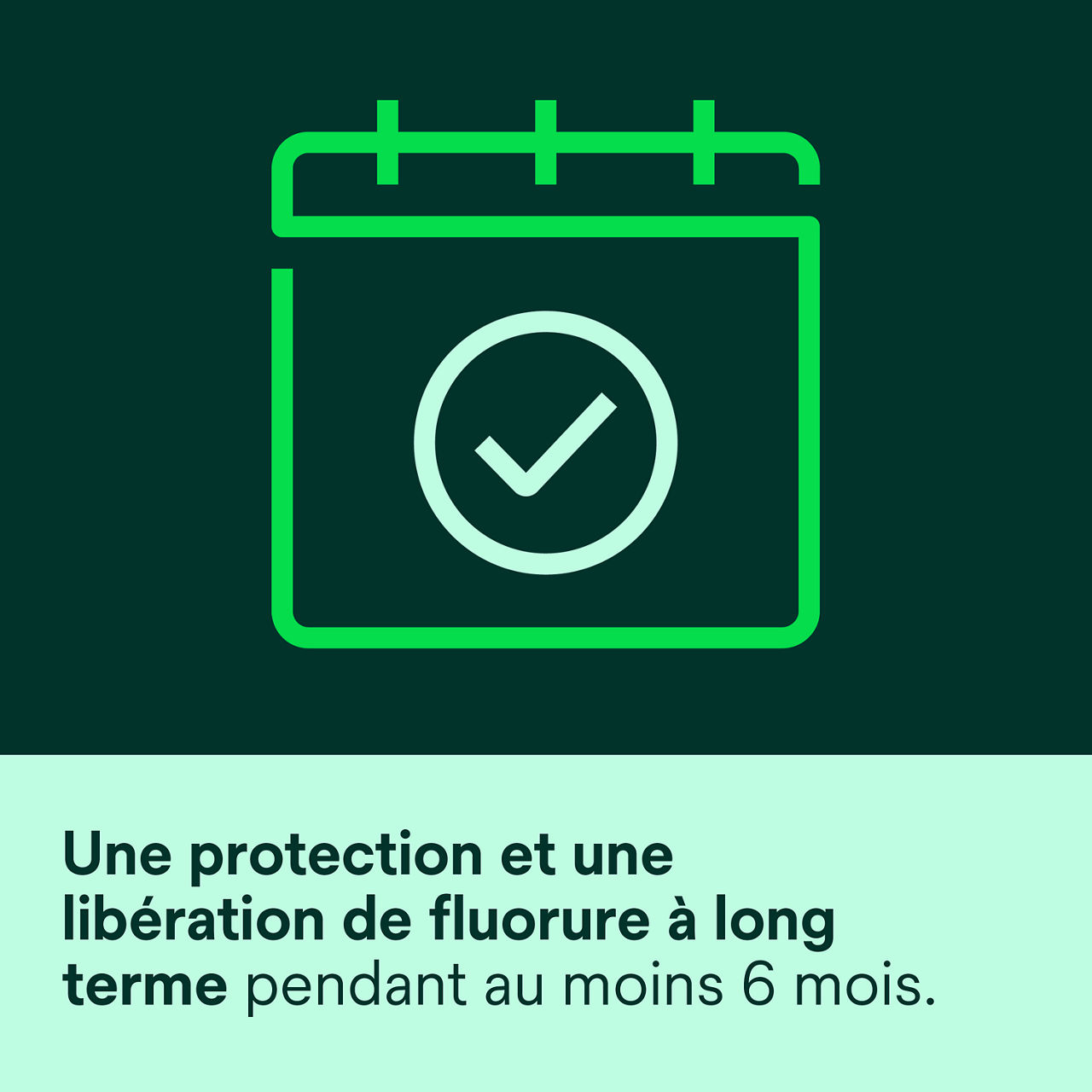 (6) Vanish XT: Protection à long terme et apport en fluorure pendant 6 mois ou plus.