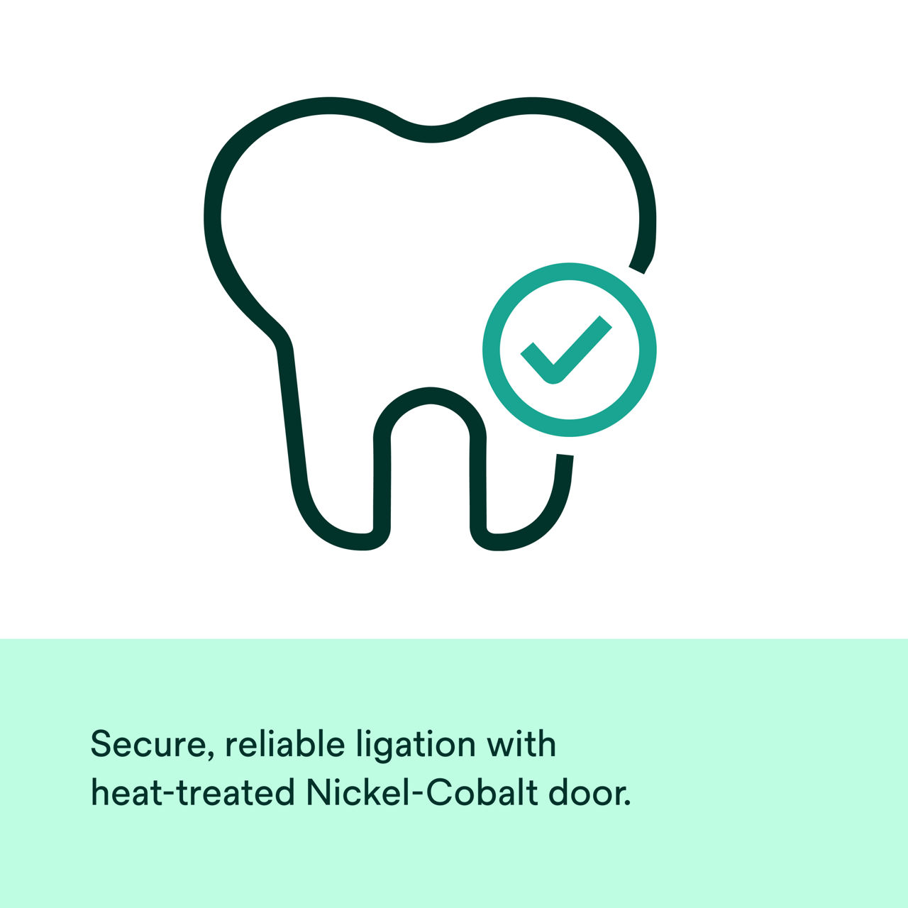 (7) Victory Series Active Self-Ligating Brackets: Secure, reliable ligation